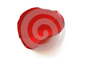 Red Rose Petal