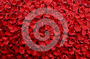 Red Rose Petals Background