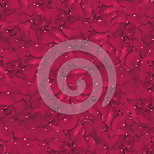 Red Rose Petals Background. High quality