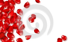 Red rose petals and beads on white background.Happy Valentines Day. Vector holiday illustration. Festive decoration