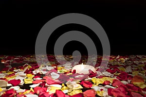 Red rose petals in the bowl in spa salon