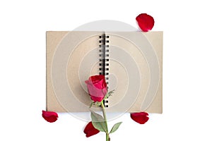 Red rose with petals and brown notebook for valentine background isolated on white background