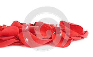 Red rose petals composition