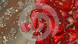 Red rose petals floating in jacuzzi bath in spa salon close up. Rose petals in jacuzzi water. Spa composition. Zen and