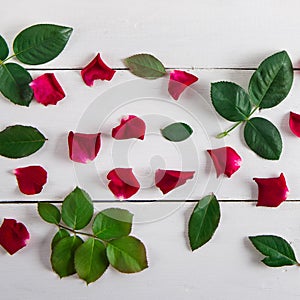 Red rose petals and green rose leaves on a white background