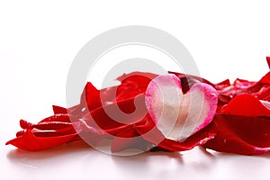Red rose petals and heart.