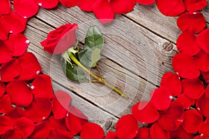 Red rose petals heart and flower