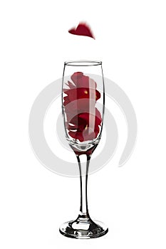 Red rose petals inside champagne glass with falling heart shaped