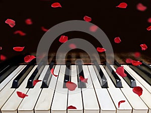Red Rose Petals on Piano Keys