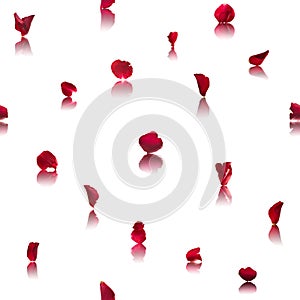 Red Rose Petals Top Border