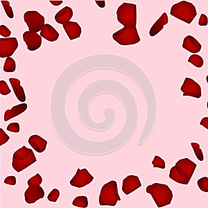 Red rose petals . valentine s card background