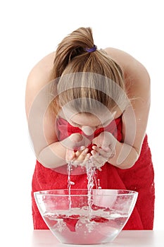 Red rose petals in water