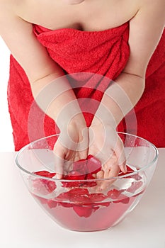 Red rose petals in water