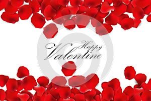 Red rose petals on a white background