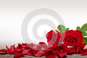 Red rose and rose petals on a wooden table with a white background