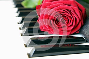 Red rose on piano keyboard. Love song concept, romantic music