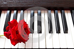 Red rose on piano keyboard.