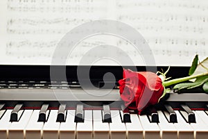 Red rose on piano keys and music book