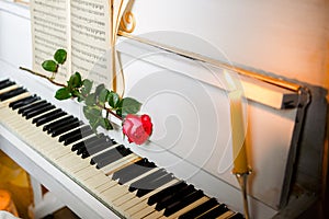 Red rose on piano keys and music book