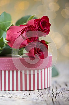 Red rose with present on beautiful background for Valentine`s da
