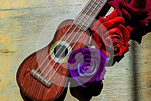 Red rose on a purple guitar ukulele neck and fretboard.