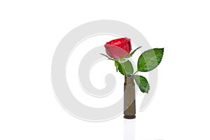 Red rose into a riffle bullet symbolizing flower power against i