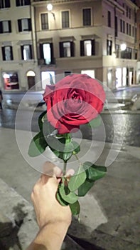 Red rose rome night walk