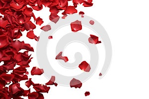 Red rose roses flower petals scattered flat lay composition top view on transparent background cutout, PNG