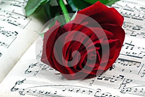 Red rose and sheet music