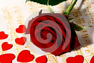 Red rose with small hearts