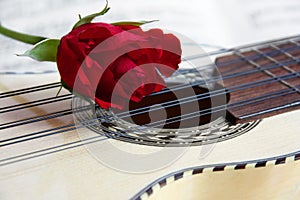 Red rose on a South American Charango