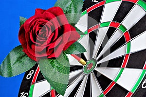 Red rose and a target for the sport of Darts. Rose flower Queen - a symbol of love and passion, decoration of the ceremonies of