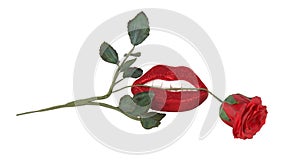 Red rose between teeth and lips