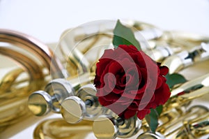 Red Rose on Tuba or Euphonium