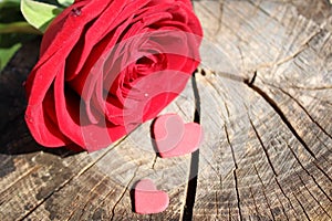 Red rose and two hearts on a weathered tree trunk
