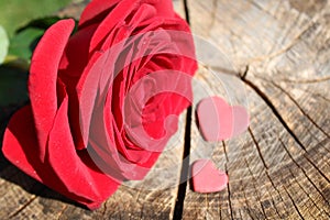 Red rose and two hearts on a weathered tree trunk