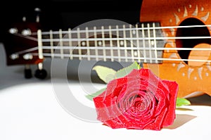 Red rose and ukulele.