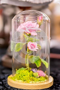 Red rose under a glass jar. Miniature model