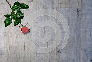 Red rose for Valantines Day. Rose lying on a third on grey wooden background