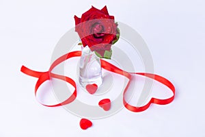 Red rose in a vase on a white background. Heart made of red ribbon, red hearts. Valentine`s Day.