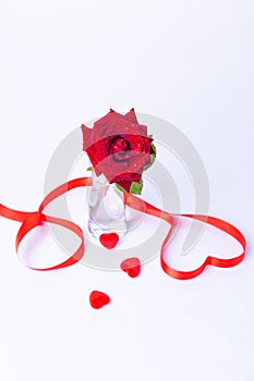 Red rose in a vase on a white background. Heart made of red ribbon, red hearts. Valentine`s Day.