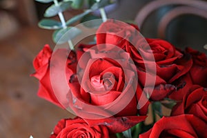 Red rose in vase on wooden table. Flowers blooming for the holiday. Home decoration. photo