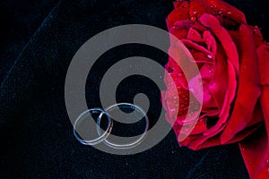 Red rose with water drops and a gift of wedding rings in a box. Black background. Concept Valentine, gift, romance