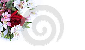 Red rose and white astromeria in a festive bouquet on a white background.