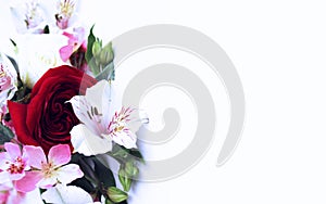 Red rose and white astromeria in a festive bouquet on a white background.