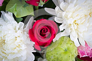 Red rose and white Chrysanthemum