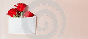 Red rose in a white envelope on a beige background. Gift for March 8 and Valentine's day. A letter with a flower.