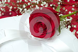 Red Rose on White Pillow