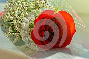 Red rose on the windowsill. a bouquet of small white flowers and one red rose in natural light. copy space