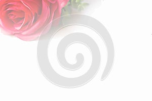 Red rose on wood table